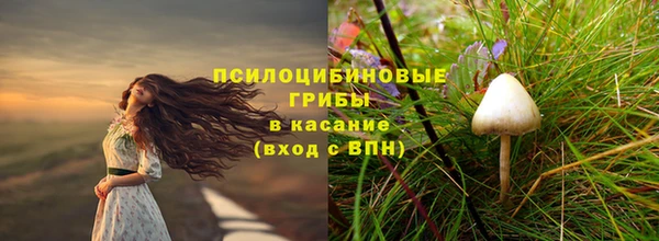 гидропоника Лихославль