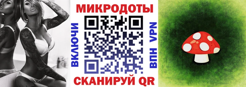 Купить где  Истра  Псилоцибиновые грибы GOLDEN TEACHER 